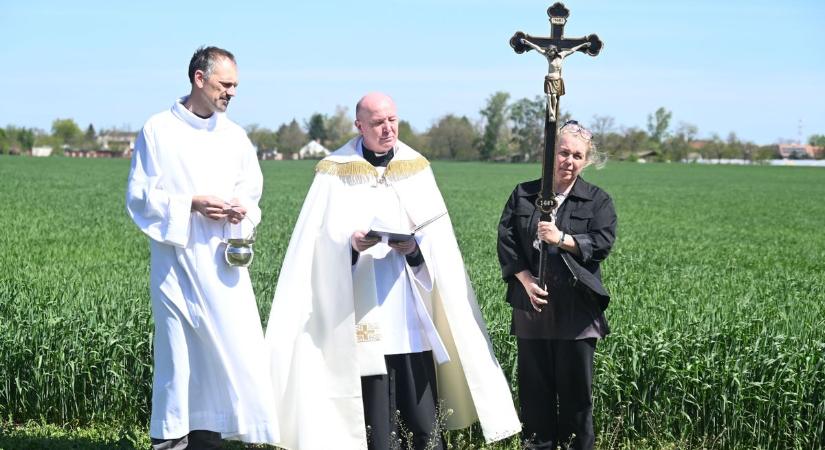 Idén is megtartották a hagyománynak megfelelően a búzaszentelést Szolnokon – galériával