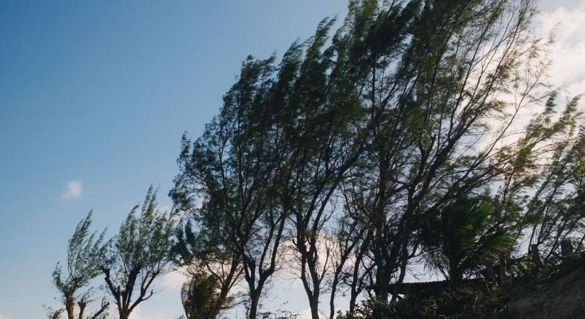 Hiába a kellemes idő: viharos szél söpör végig vasárnap az országon