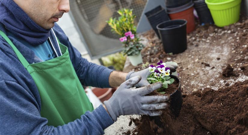 A hobbikertész dilemmája: újrahasznosítható-e a használt virágföld?