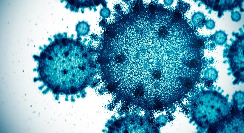Nagy a baj? Aggódnak a kutatók egy, a Covidhoz hasonló vírus miatt