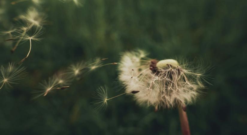 Időjárás: hidegfront érkezik, nagy területen megerősödik a szél  VIDEÓ