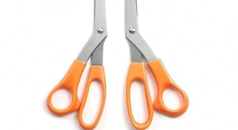 Kiderült a válasz: ezért jobbkezes az emberek többsége