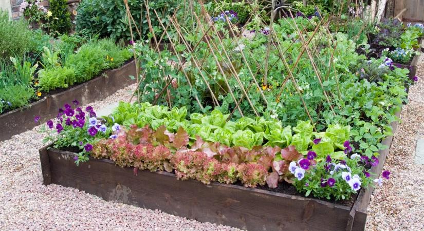 Magaságyás készítése házilag – Így lesz rekordtermésed a kertben