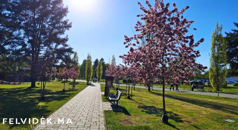 Barangolás az éledező természetben
