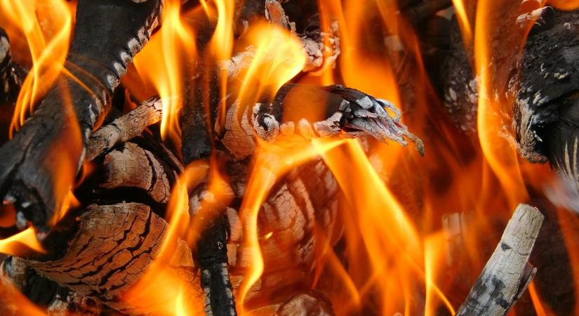 Kétszer annyi fát égetünk, mint amennyi újratermelődik: fenntarthatatlan a magyar tűzifapiac