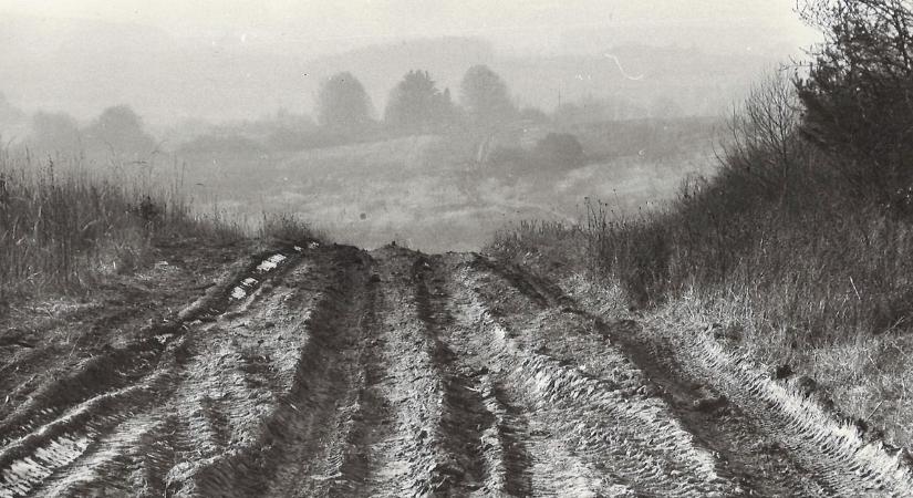 Tíz liter bor az állevélért? Meglepő fordulatok az 1989-es letenyei gyilkosság ügyében (2. rész)
