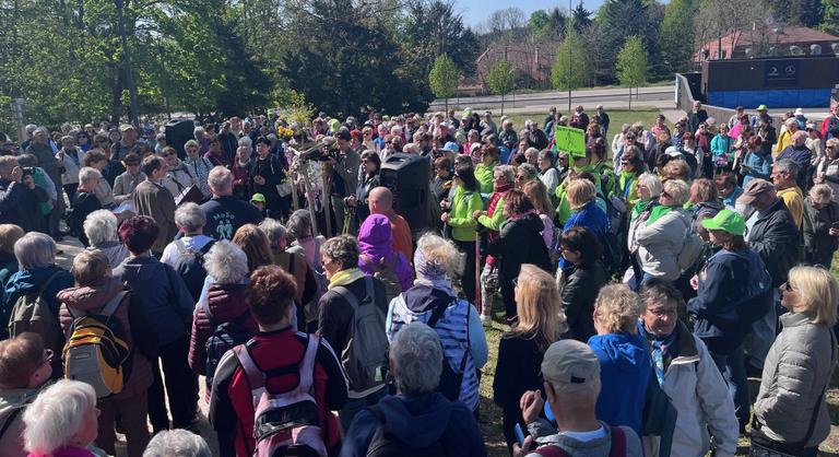 400-an gyalogoltak a Normafánál Monspart Sarolta emlékére