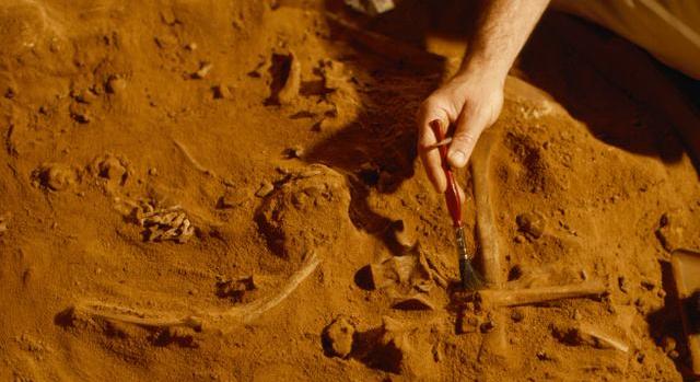 Honfoglaláskori magyar amazon tartja lázban a tudományos életet, így nézett ki egykor