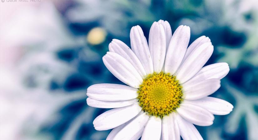 Fagyos reggeleket hozhat a száraz hidegfront