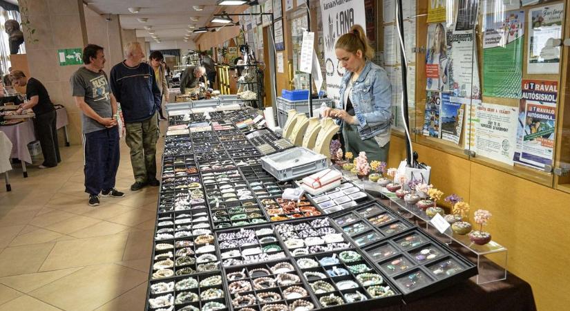 Erre nem volt példa korábban Gyöngyösön: őskori kövületeket és meteoritokat is érkeztek a városba  Fotók