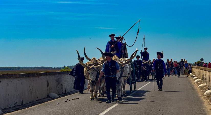 Nagy sikerrel tért vissza a Szent György-napi kihajtási ünnep – fotókkal, videóval