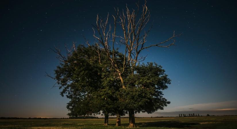 14 éve nem történt ilyen Magyarországon, 1 millió forintot ér a Hortobágyon befogott ritka faj