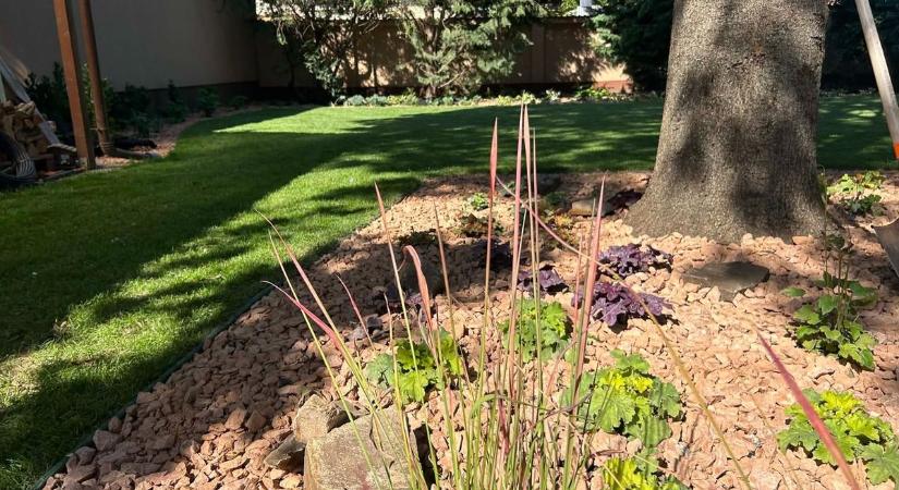 Árnyékban sem kell lemondanunk a látványos kertről, ezek a növények ajánlottak igazán