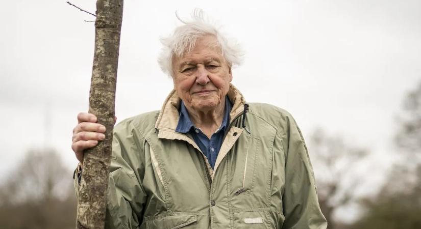 David Attenborough 100 – Alkotói pályázatot hirdettek diákok számára