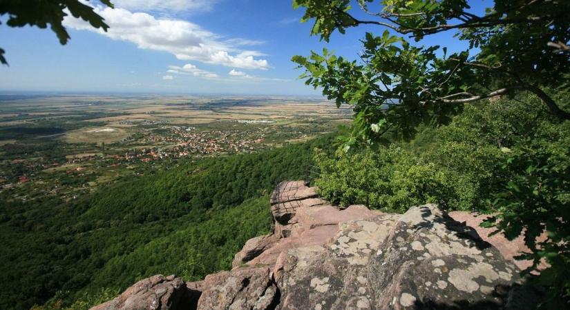 Napot és szelet hoz a holnapi időjárás, nem fognak örülni az allergiások