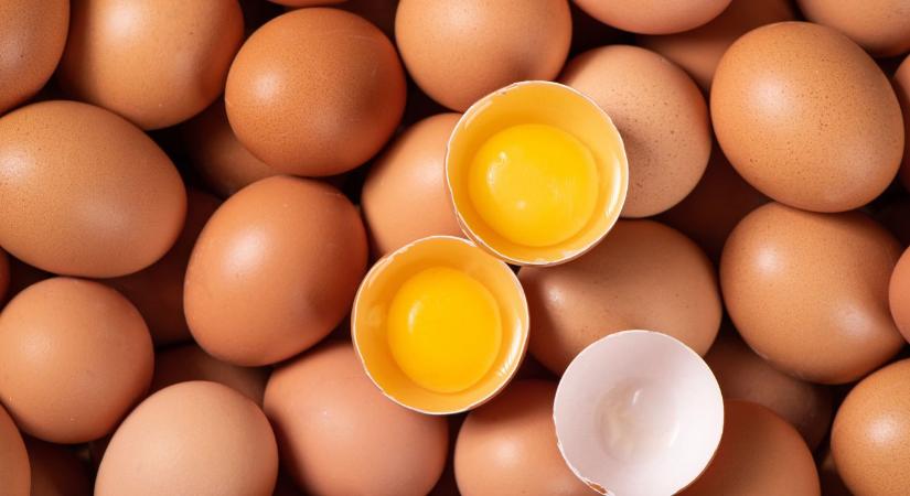 Tojás tárolása: ezt ne csináld, mert veszélyes is lehet