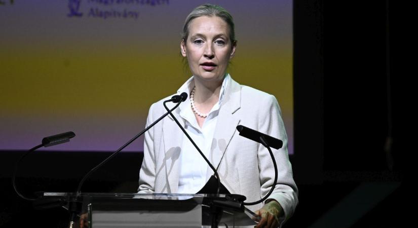 Nem csökken a különbség: az AfD tartósan elhúzott Merz pártja előtt