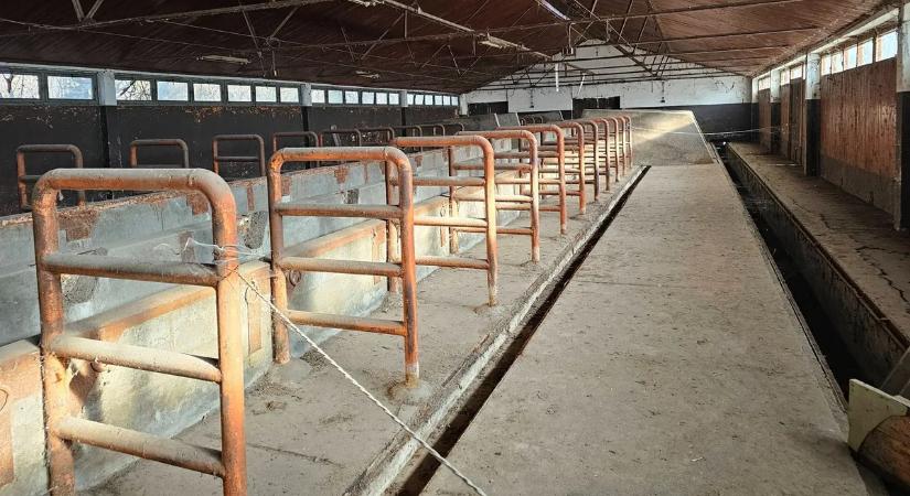 Titokzatos lombiklabor a semmi közepén – döbbenetes, mi maradt belőle – galéria