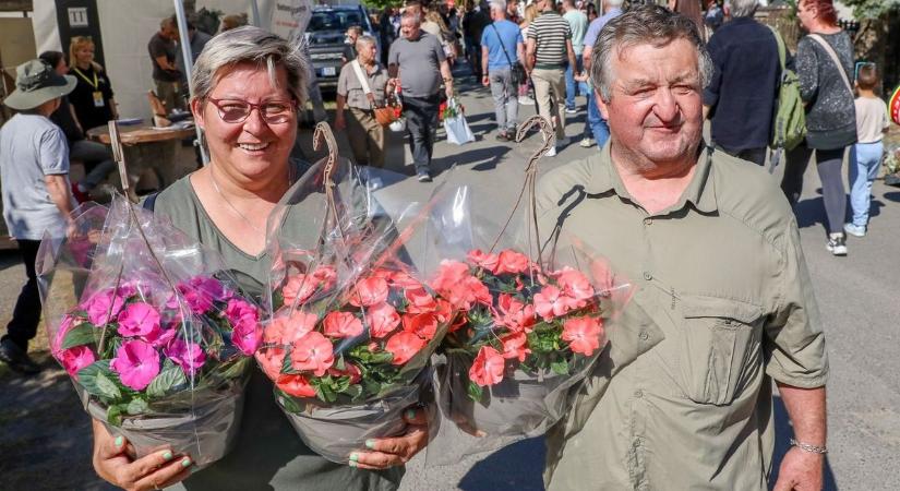 Egy kilométernyi virág és élmény Herényben - összefoglaló sok képpel