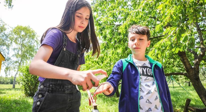 Elszabadult a pokol a rendelőkben: soha nem látott invázió fenyeget a kertekben is