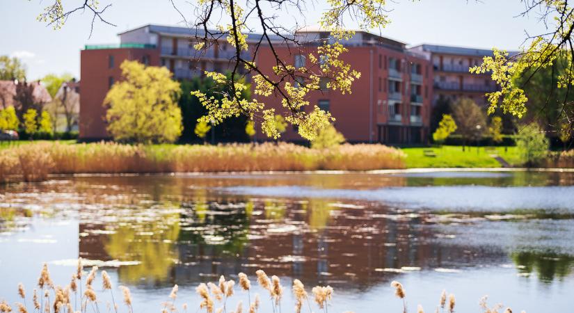 Hidegfront érkezik erős, viharos széllel