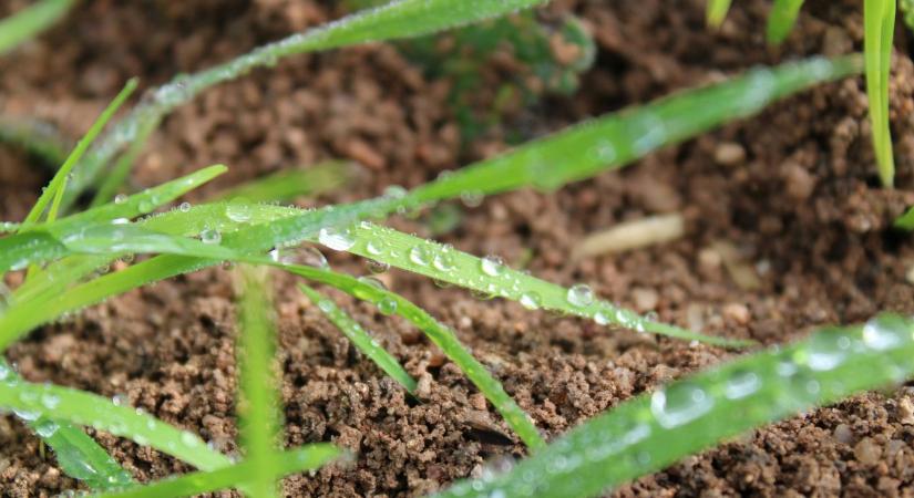 3 napos időjárás-előrejelzés: csapadékra szomjazik a föld