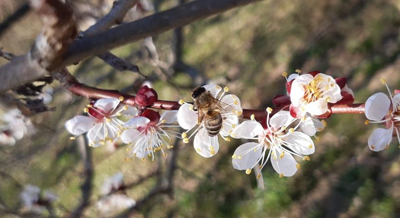 Napfény és szél: változékony vasárnap vár ránk