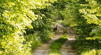 Mennyire ismered Magyarország természeti kincseit? – Kvíz