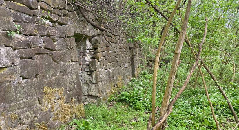 Mintha lakói nyomtalanul tűntek volna el: hátborzongató romokra bukkantak Pécsnél