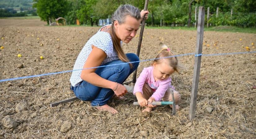 Láthatatlan veszély leselkedik a kertekben: egy mag is végzetes lehet, mégis sokan ültetik
