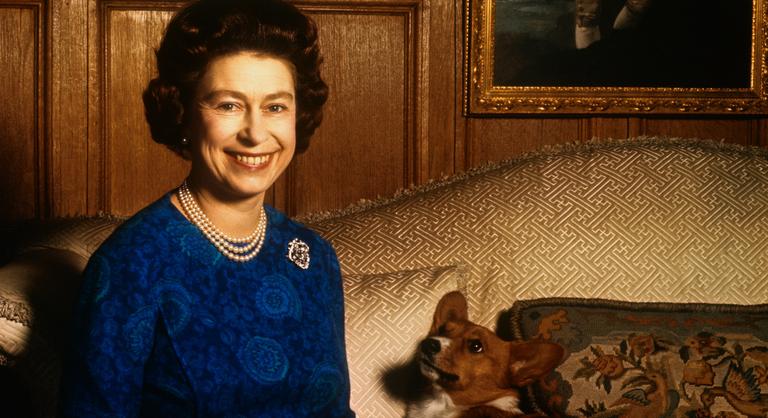 II. Erzsébetnek hála lett a brit királyi udvar jelképe ez a kutyafajta