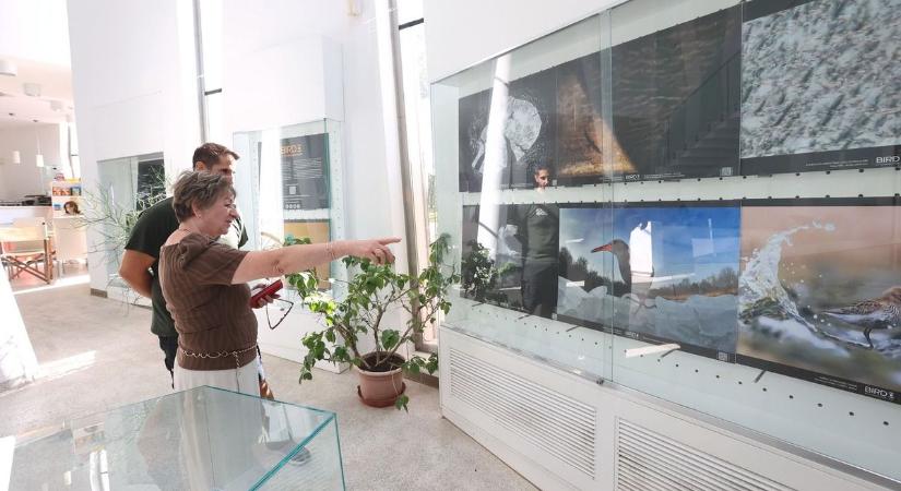 A Pécsi Állatkert is várja a Föld Napja alkalmából a kicsiket és nagyokat