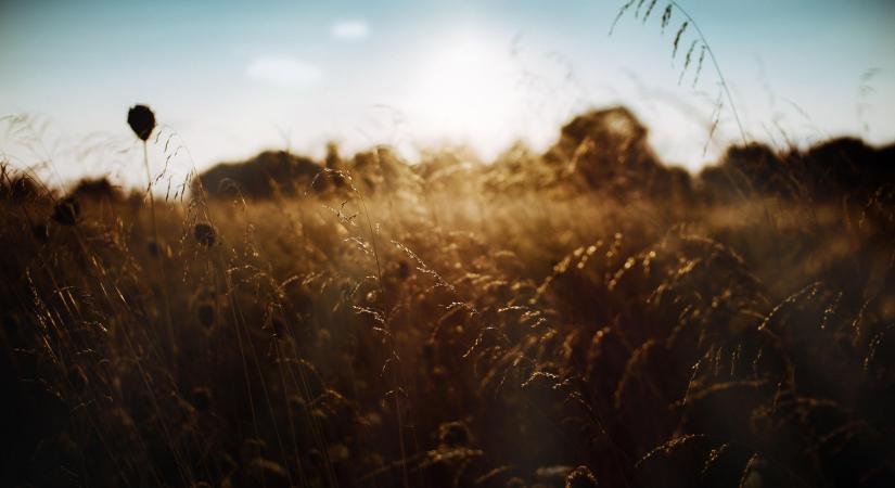 Napos, szeles idő várható