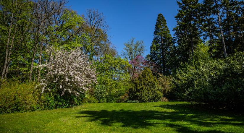 51 hazai arborétum, amelyet érdemes meglátogatni