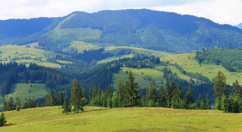 200 métert zuhant, nem élte túl