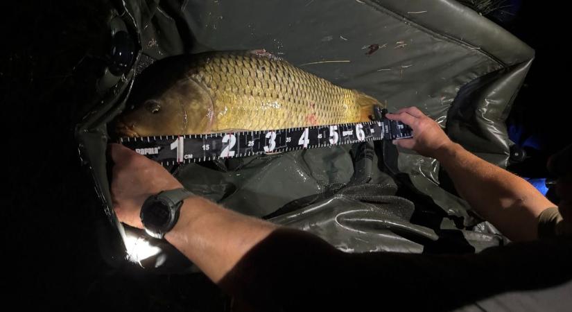 Akár százezres bírság is jöhet a vétkes horgászoknak!