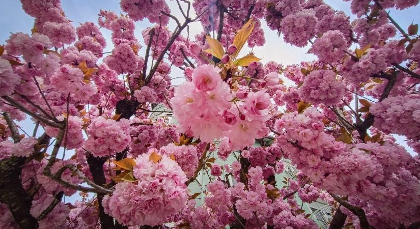 Időjárás: elsőfokú figyelmeztetést adtak ki a térségben