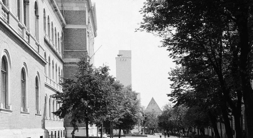 Visszafogott jelenlét – Interjú Macalik Arnolddal a Kolozsvári Farkas utca megújítása kapcsán