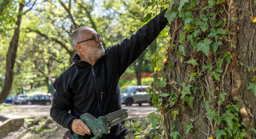 Veszélyben az Öreg-tó matuzsálemei, így segítenek rajtuk videó