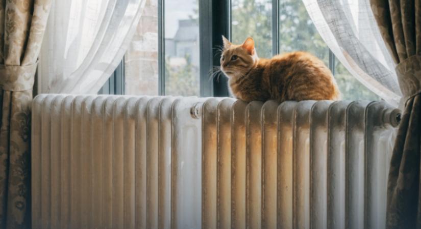 A közműszolgáltatók szinte minden esetben megsértették az árképzési törvényeket Ukrajnában