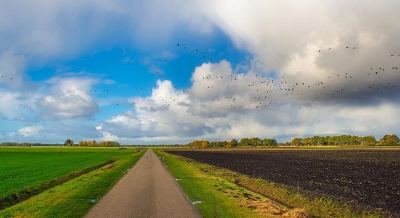 Veszély az utakon! Porfelhőket kavarhat fel a viharos szél, figyelmeztetés érvényes