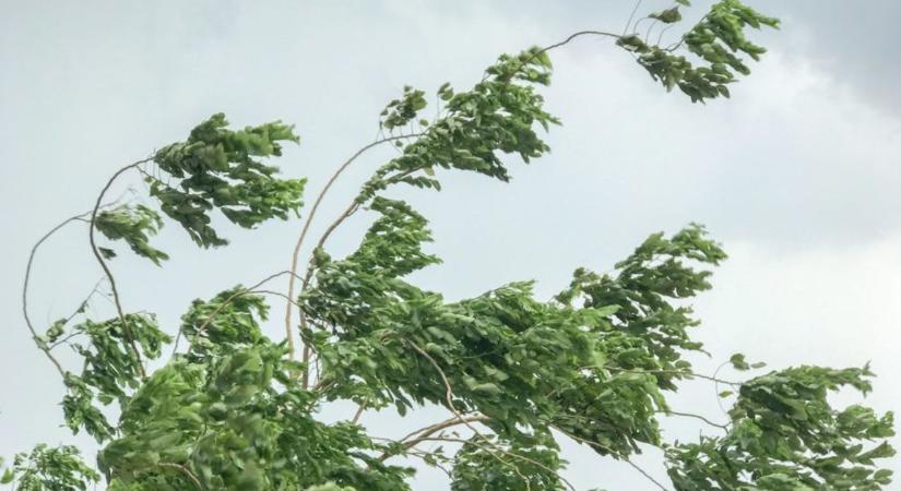 Az erős, viharos szél felkavarhatja a port