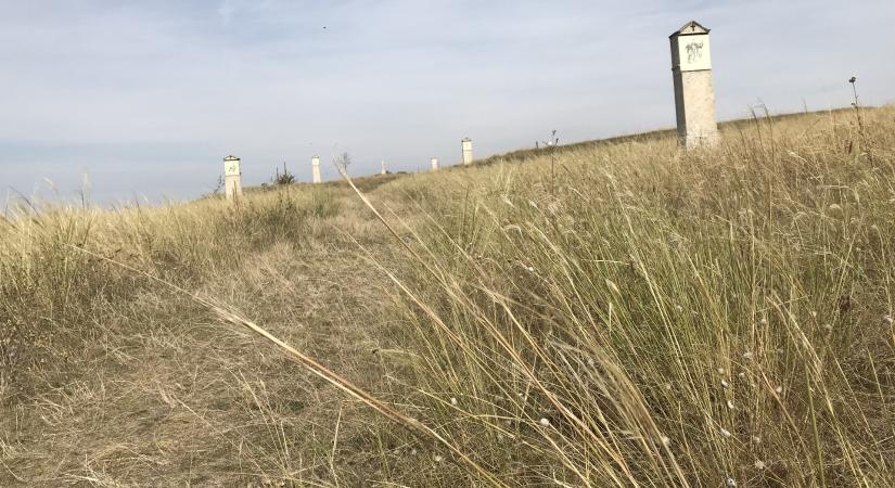 Galagonya-túra Tétényi-fennsíkon