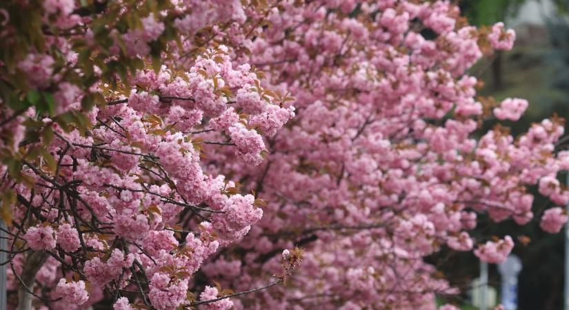 Fordulat jön? ilyen lesz a holnapi időjárás Szolnokon