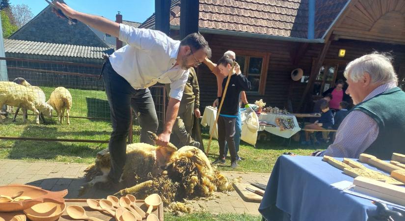 Birkát nyírtak, szőttek-fontak, gombalevest főztek a velemi alkotóháznál