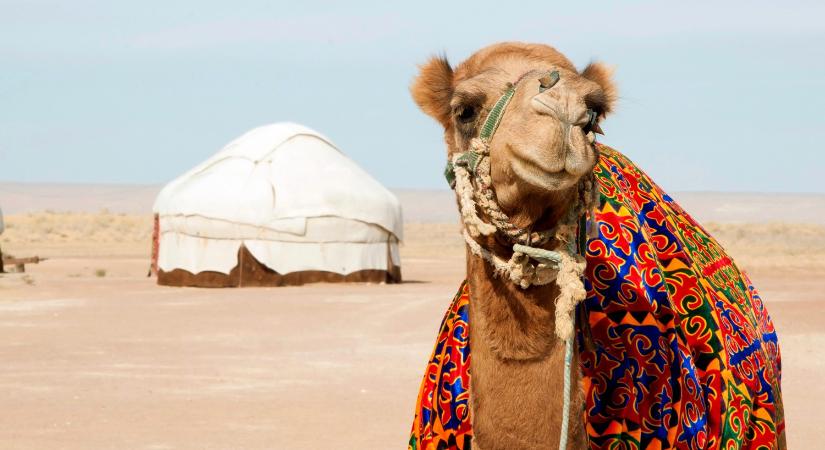 Megsínyli az egyiptomi turizmus is az iráni háborút