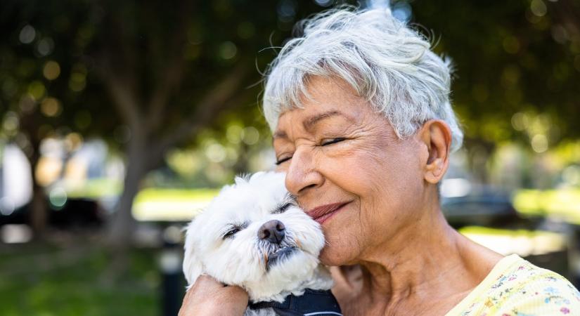 A te kutyád boldog? Ebből az 5 jelből tudod megállapítani