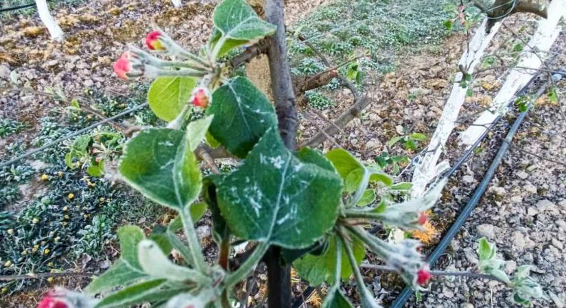 Meteorológia – 2026 - Szeszélyesen aszályos április