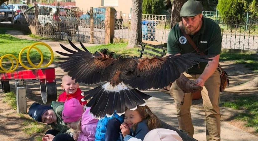 Farkasszemet néztek a vadonnal a szálkai apróságok