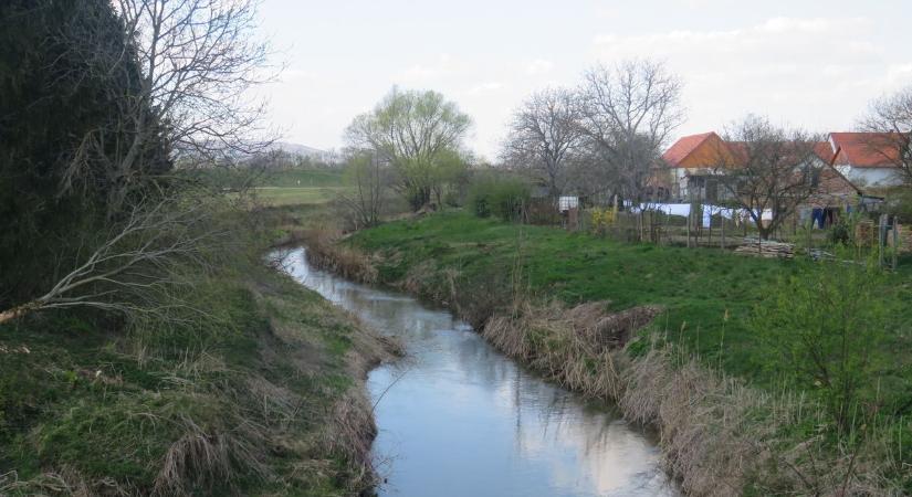 A Gyöngyös elégiája - Szomoru Árpád a matematika, a versek és a birkózás világából